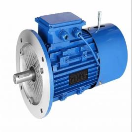 Geared Electric Motor 0.75 KW