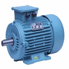 1 HP Three Phase AC Induction Motor