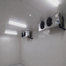 1 Ton Single Door Cold Storage