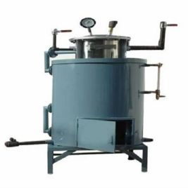 Automatic SS Steam Boiler