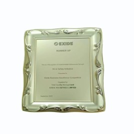 Wooden Exide Business Award