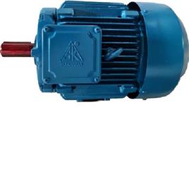 10 HP Three Phase Electric Motor