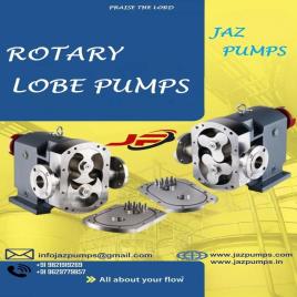 10m 3 Phase Hygienic Lobe Pump