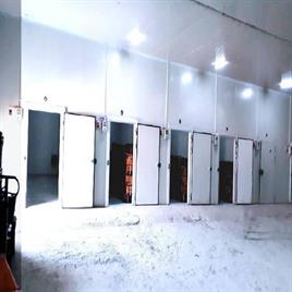 1000 Metric Ton Cold Storage Facility