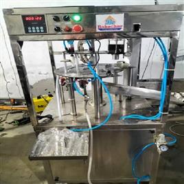 12 BPM Beverage Bottle Filling Machine