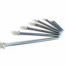 1/2 Inch Drum Polished Mild Steel Nails
