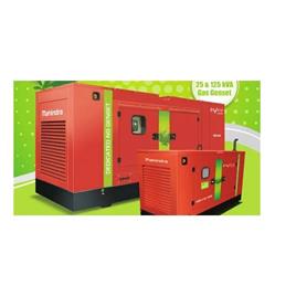 125 KVA Gas Fueled Generator