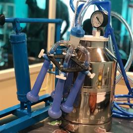 Manual 12L Milking Machine