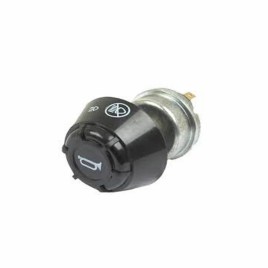 Hornlighting Switch 1699034M1