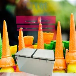 500 Ltr 2 Doors Chest Freezer CF 560