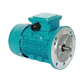 2 HP Three Phase Motor Machine