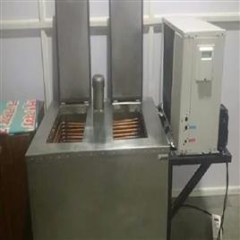 2 Mould Stainless Steel Ice Candy Plant