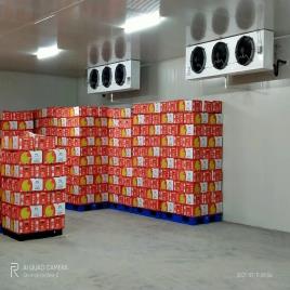 2 MT Capacity Cols Storage Machine