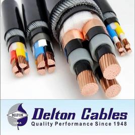 Delton 2 Pair Telephone Cable