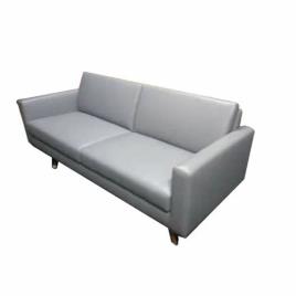Modern 2 Seater Decorative Sofa