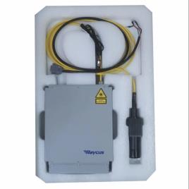 Raycus Fiber Optical Laser Source (20-100W)