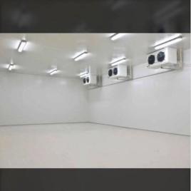 20 Ton Prefabricated Cold Room