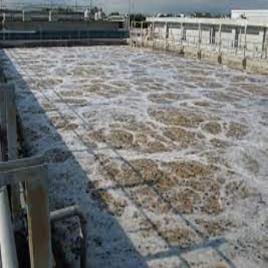 2000 LPH MBBR Equipment, 50 KLD