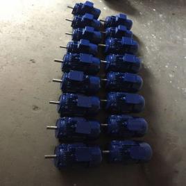 2.2 KW Dual Speed Three Phase Motor