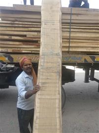 American White Oak Wood 2200mm+, Furniture Grade