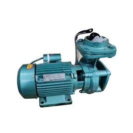 2HP Industrial Monoblock Pump