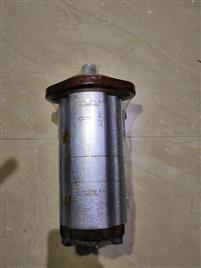 Three Phase Gear Pump