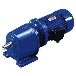 3 Hp Single Phase Inline Industrial Gear Motor, 220 V