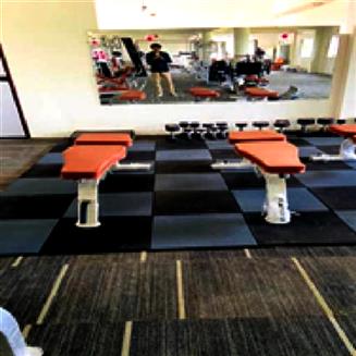 3-in-1 Multipurpose Fitness Bench