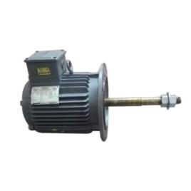 Flange Mount Cooling Tower Motor, 10-100 KW