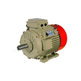 3 Phase Foot Mounted Electric Motor