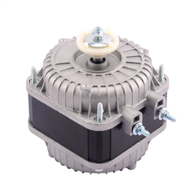 Refrigerator Motor