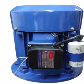Single Phase Flange Mounted Motor (<10 KW, 220 V)
