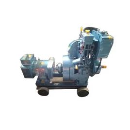 3kW Air Cooled Diesel Generator