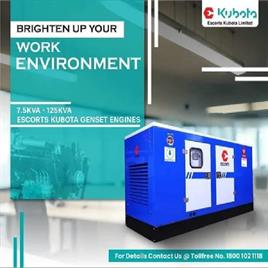 Escorts Diesel Generator