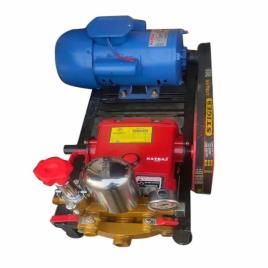 40kg Natraj AS538AL Portable Car Washer