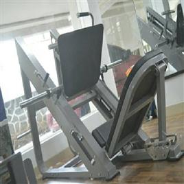 45 Degree Weight Plate Leg Press