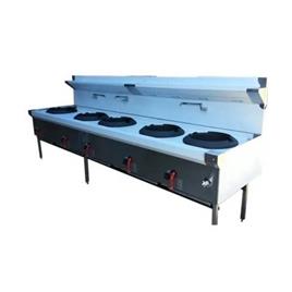 5 Burner Stainless Steel Gas Range