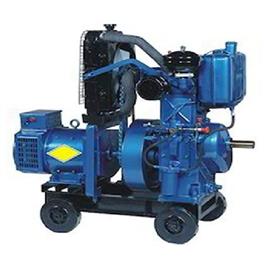5 kVA Liquid Cooled Diesel Generator