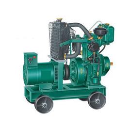 5 Kw Diesel Generator 220-380 V