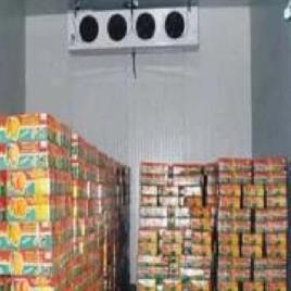 5 MT Fruit Storage Chamber