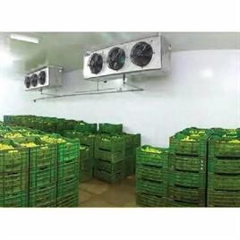 5 Ton Automatic Fruit Ripening Chamber