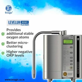 500 LPH Laveluk Jr IV Water Purifier