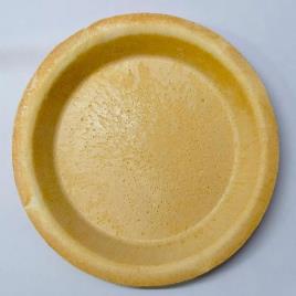 Bagasse Disposable Plate