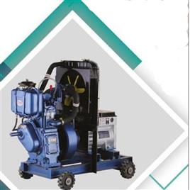 Water Cooled Diesel Generator