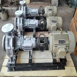 90 Meter Thermic Fluid Pump Etny-65-40-200 Eg