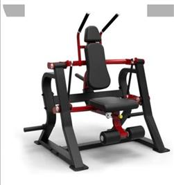 Ab Bicep Curl Machine