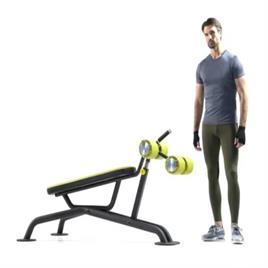 Ab King Pro Exercise Machine