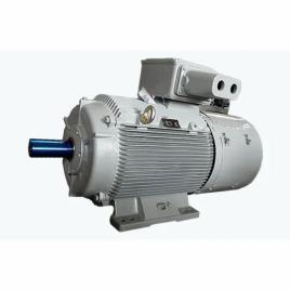 ABB Induction Motor