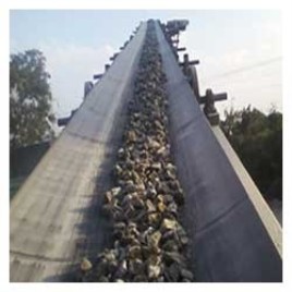 Durable Conveyor Belt