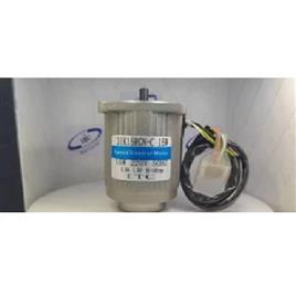 Industrial AC Gear Motor